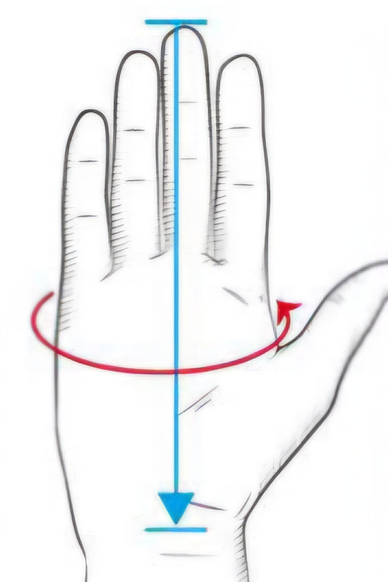 Guanto forato in pelle di capra testa di moro